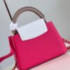 Louis Vuitton Capucines  Mini Handbag