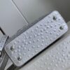 Louis Vuitton Capucines Mini