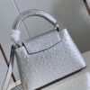 Louis Vuitton Capucines Mini