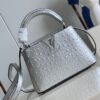 Louis Vuitton Capucines Mini