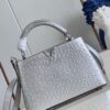 Louis Vuitton Capucines BB Small Handbag