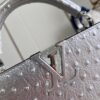 Louis Vuitton Capucines BB Small Handbag