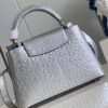 Louis Vuitton Capucines BB Small Handbag