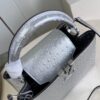 Louis Vuitton Capucines BB Small Handbag