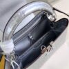 Louis Vuitton Capucines BB Small Handbag