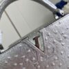 Louis Vuitton Capucines MM Medium  Handbag
