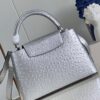 Louis Vuitton Capucines MM Medium  Handbag