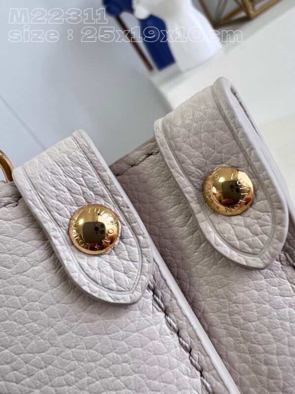 Louis Vuitton Lock & Go Bag