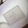 Louis Vuitton Lock & Go Bag