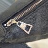 Louis Vuitton Baia Medium Handbag
