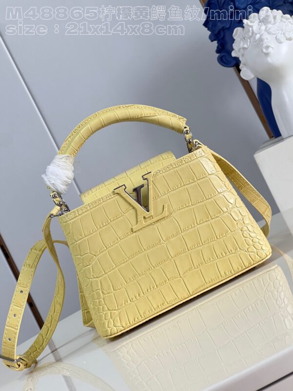 Louis Vuitton Capucines Mini