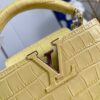 Louis Vuitton Capucines Mini
