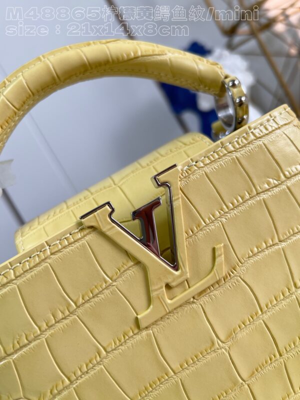Louis Vuitton Capucines Mini