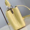 Louis Vuitton Capucines Mini