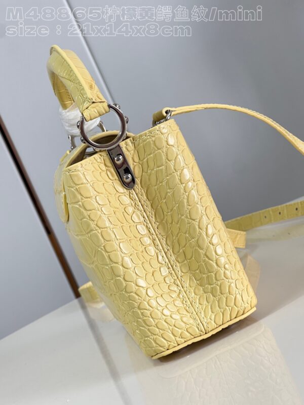 Louis Vuitton Capucines Mini