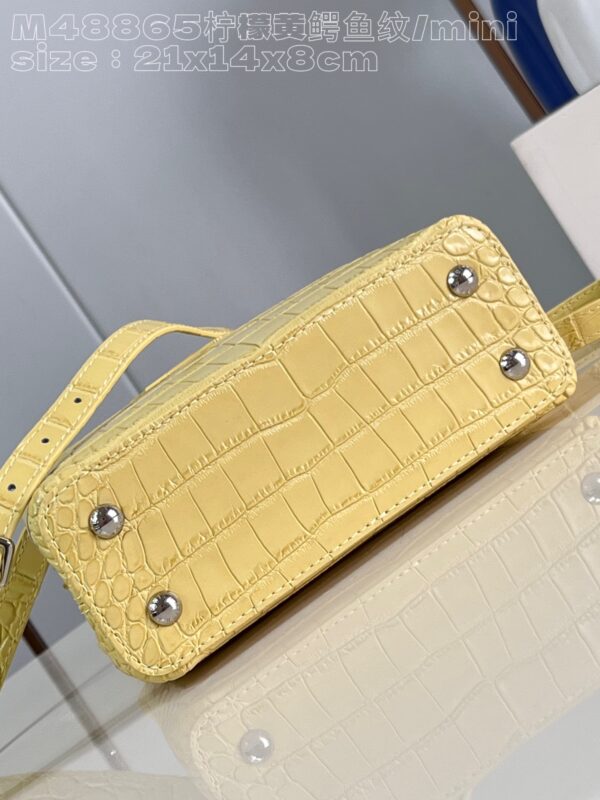 Louis Vuitton Capucines Mini