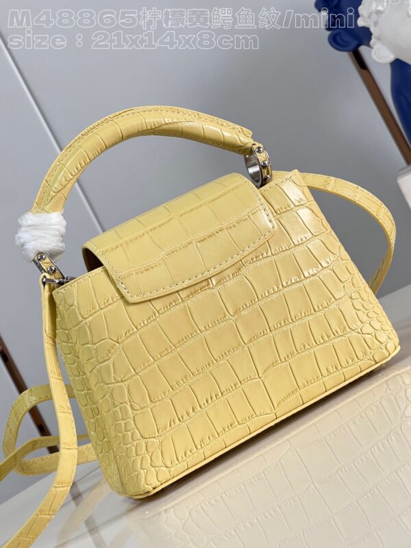Louis Vuitton Capucines Mini