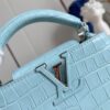 Louis Vuitton Capucines Mini
