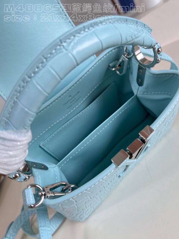 Louis Vuitton Capucines Mini