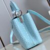 Louis Vuitton Capucines Mini