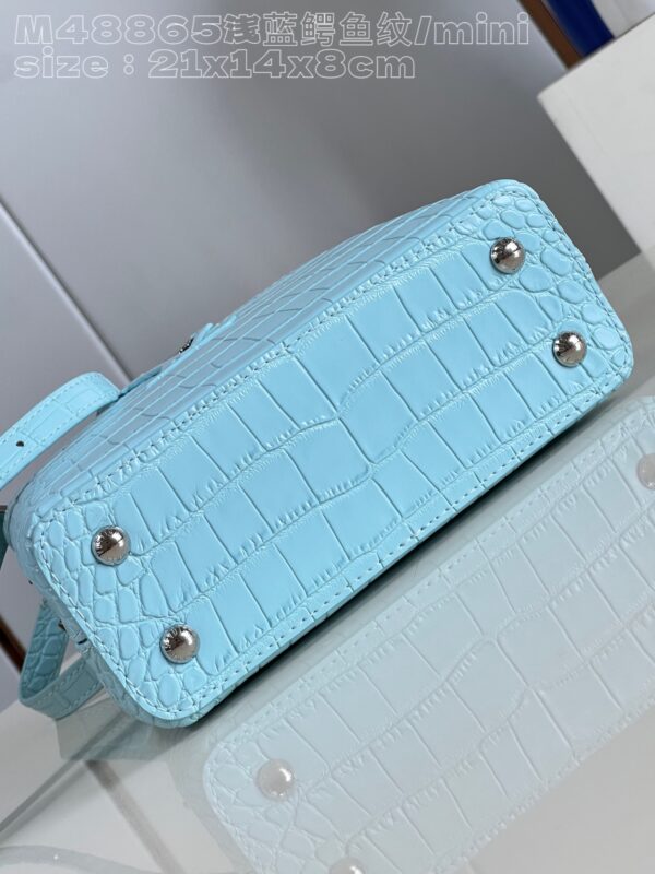 Louis Vuitton Capucines Mini
