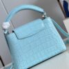 Louis Vuitton Capucines Mini