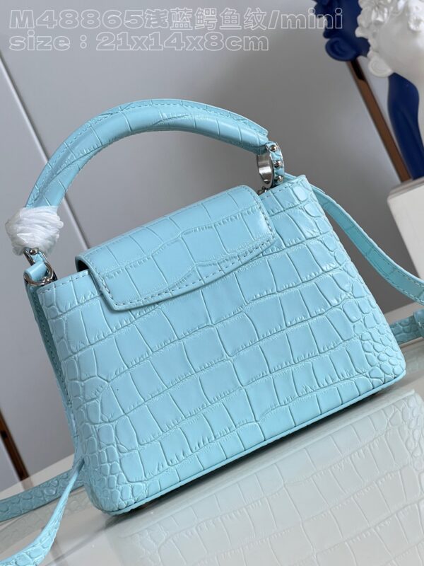 Louis Vuitton Capucines Mini