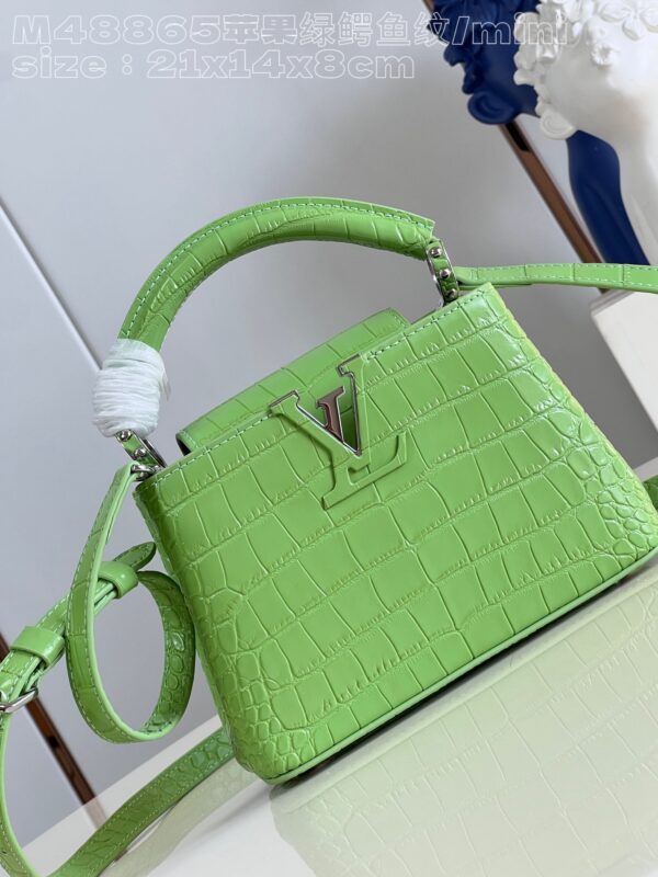 Louis Vuitton Capucines Mini