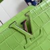 Louis Vuitton Capucines Mini