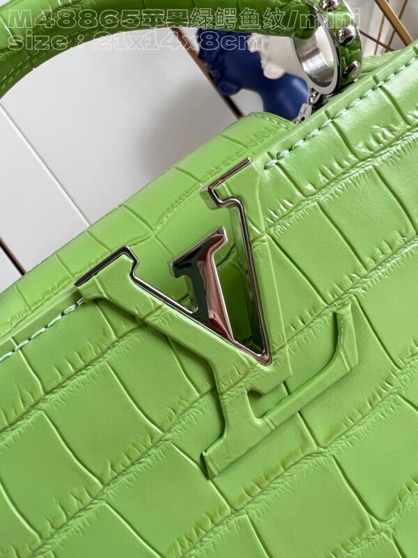 Louis Vuitton Capucines Mini