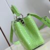 Louis Vuitton Capucines Mini