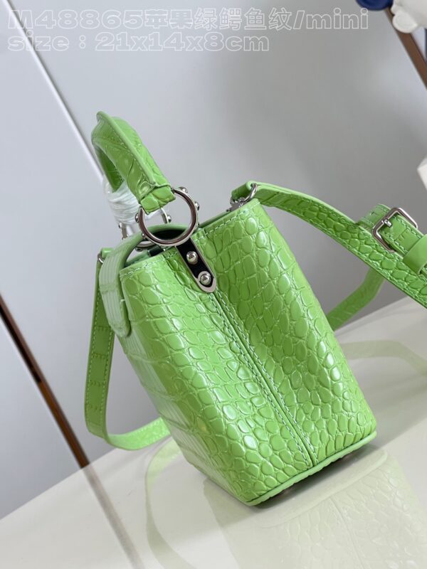 Louis Vuitton Capucines Mini