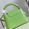 Louis Vuitton Capucines Mini