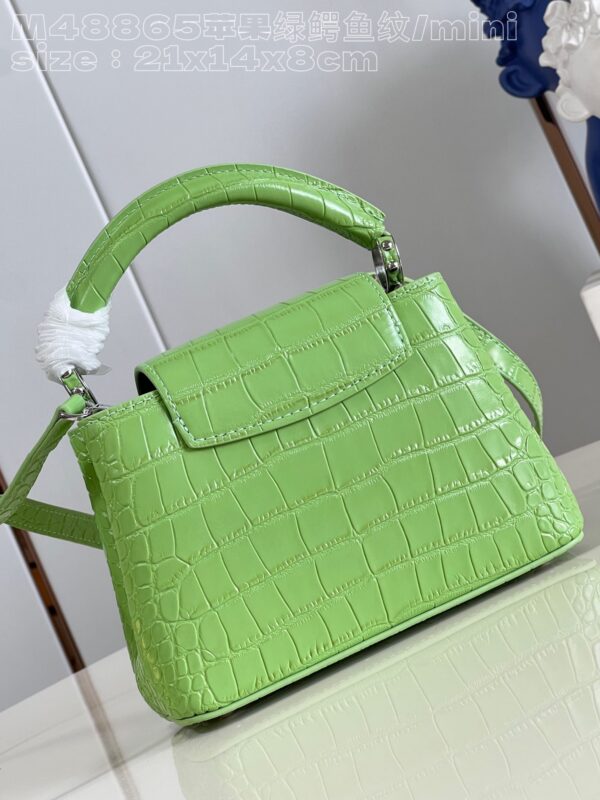 Louis Vuitton Capucines Mini