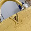 Louis Vuitton Capucines Small