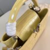 Louis Vuitton Capucines Small