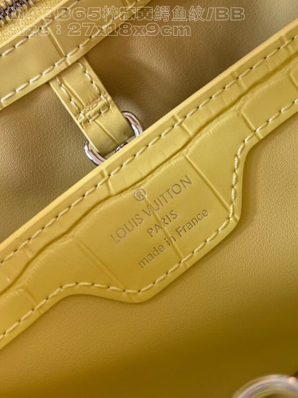 Louis Vuitton Capucines Small