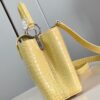 Louis Vuitton Capucines Small