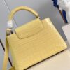 Louis Vuitton Capucines Small