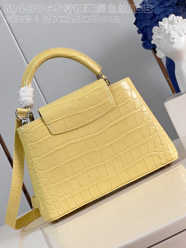 Louis Vuitton Capucines Small
