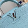 Louis Vuitton Capucines Small
