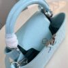 Louis Vuitton Capucines Small