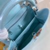 Louis Vuitton Capucines Small