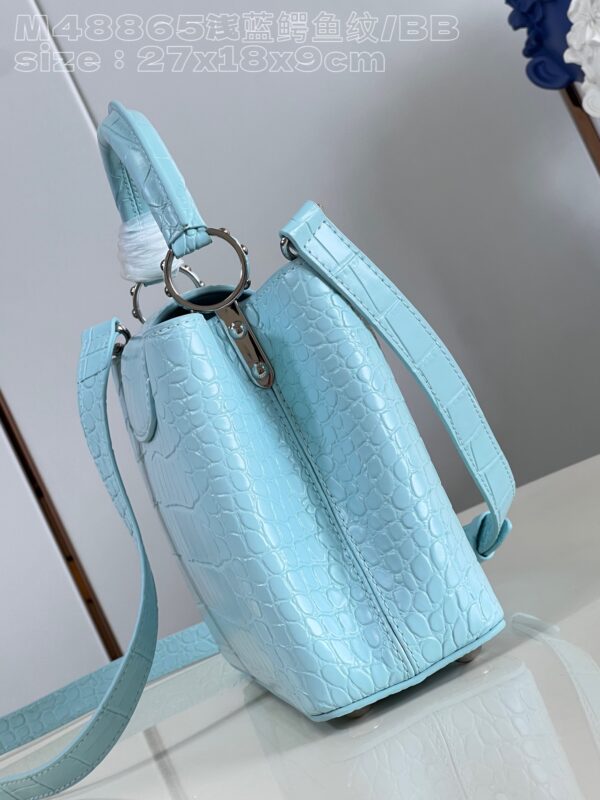 Louis Vuitton Capucines Small