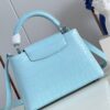 Louis Vuitton Capucines Small
