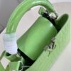 Louis Vuitton Capucines Small