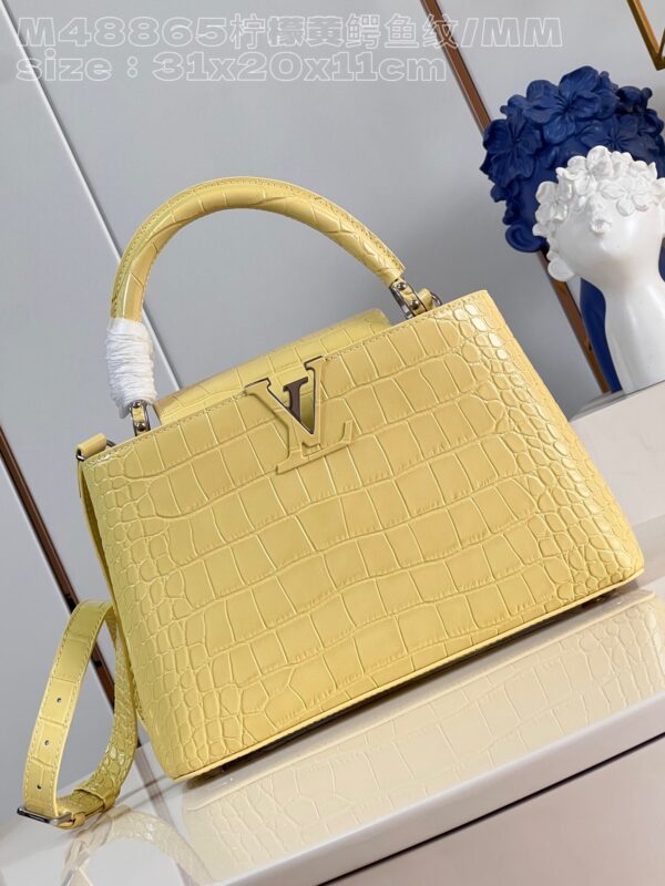 Louis Vuitton Capucines Medium