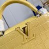 Louis Vuitton Capucines Medium