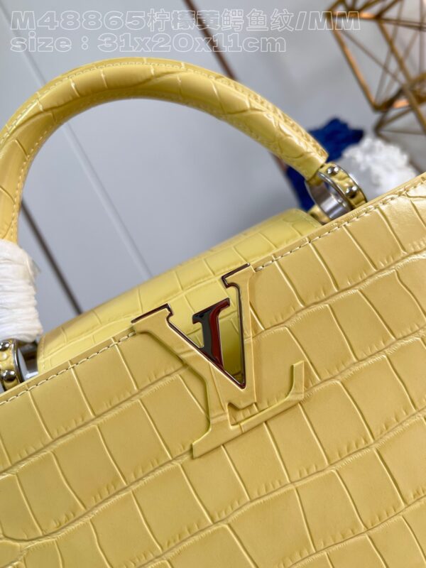Louis Vuitton Capucines Medium