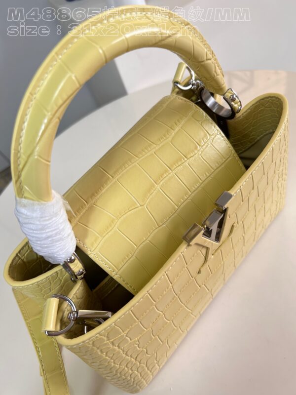Louis Vuitton Capucines Medium